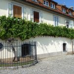 house_of_the_oldest_grapevine_in_the_world_hisa_stare_trte_in_maribor